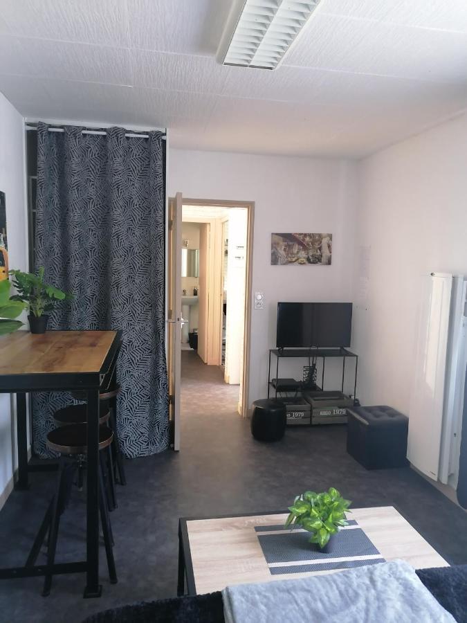 Charmant appartement entre vitré et Fougères Chatillon-en-Vendelais Exterior foto